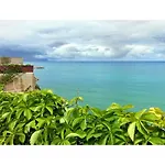 Magnolia Gialla Bed & Breakfast *