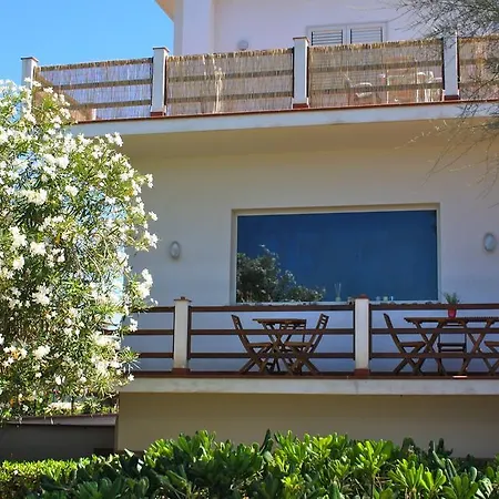 Magnolia Gialla