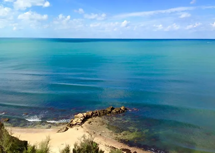 Magnolia Gialla * 特拉佩托