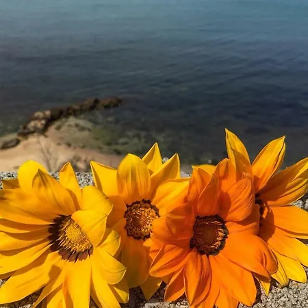 Magnolia Gialla Bed & Breakfast Trappeto (Sicily)