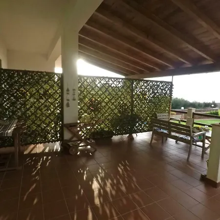 Magnolia Gialla * טראפטו